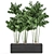 Tropical Plant Trio in Black Pots 3D model small image 1