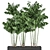 Tropical Plant Trio in Black Pots 3D model small image 2