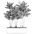 Tropical Plant Trio in Black Pots 3D model small image 5