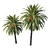 Exquisite Phoenix Palm Tree 3D model small image 2