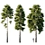 18m Pinus sylvestris Tree 3D model small image 1