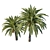 Phoenix Palm Tree 06: Detailed 3D Model 3D model small image 2