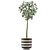 Heartleaf Indoor Plant: Elegant Corner Decor 3D model small image 2