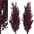 Crimson Pointe Plum Trees: Stunning Color and Columnar Form 3D model small image 4