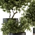 Ultimate Indoor Plant Collection - Potted Tree 3D model small image 2