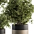 Ultimate Indoor Plant Collection - Potted Tree 3D model small image 3