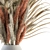 Rustic Dry Wheat & Palm Branch 3D model small image 2