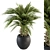 Tropical Palm Plant in Pot 3D model small image 2