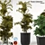 Indoor Plant Collection: 3D & High Quality 3D model small image 2