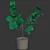 Realistic Fiddle-Leaf Fig 3D Model 3D model small image 5
