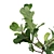 Realistic Fiddle-Leaf Fig 3D Model 3D model small image 7