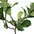 Realistic Fiddle-Leaf Fig 3D Model 3D model small image 9