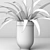 Versatile Spider Plant: Indoor & Outdoor 3D model small image 3