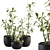 134-Piece Indoor Plant Set 3D model small image 1