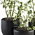 134-Piece Indoor Plant Set 3D model small image 2