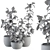 134-Piece Indoor Plant Set 3D model small image 4