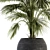 Tropical Oasis Indoor Plant Set 3D model small image 2