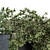 Ivy Plant Set: Outdoor Elegance 3D model small image 3