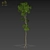  Stunning Plumeria Tree 3D Model 3D model small image 2