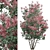 Pair of American Smoketree Trees 3D model small image 3