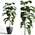 Elegant Indoor Plant Decoration 3D model small image 1