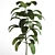 Elegant Indoor Plant Decoration 3D model small image 3