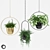 Indoor Hanging Plant Trio 3D model small image 1