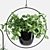 Indoor Hanging Plant Trio 3D model small image 3