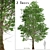 European Linden Trees: 2 Fragrant Beauties 3D model small image 1