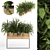 Natural Green Outdoor Plant 3D model small image 1