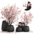 Exotic Magnolia Collection for Indoor and Outdoor Spaces 3D model small image 2