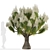 Succulent Trio: Ponytail Palm Trees 3D model small image 1