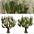 Succulent Trio: Ponytail Palm Trees 3D model small image 3