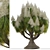 Succulent Trio: Ponytail Palm Trees 3D model small image 4