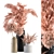 Pink Pampas: Beautiful Dried Plant 3D model small image 1