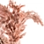 Pink Pampas: Beautiful Dried Plant 3D model small image 3