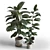 Elegant Indoor Plant Decor 3D model small image 1