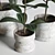 Elegant Indoor Plant Decor 3D model small image 2