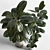 Elegant Indoor Plant Decor 3D model small image 3