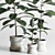 Elegant Indoor Plant Decor 3D model small image 4
