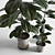 Elegant Indoor Plant Decor 3D model small image 5