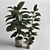 Elegant Indoor Plant Decor 3D model small image 6