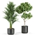 Lush Greenery Set 440 3D model small image 3