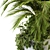 Tropical Oasis: Palm Bush Set 3D model small image 3