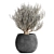 Tropical Olive Tree in Black Pot 3D model small image 4