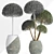 Exotic Houseplants Collection - Vray Compatible 3D model small image 4