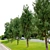 Cupressus Cypress Tree - 13m High 3D model small image 2