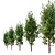 Cupressus Cypress Tree - 13m High 3D model small image 3