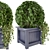 Outdoor Greenery in Wooden Planters 3D model small image 2