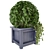 Outdoor Greenery in Wooden Planters 3D model small image 4
